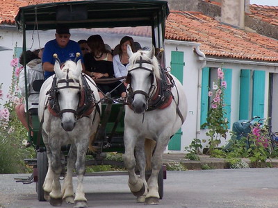 location oleron chevaux mar´e